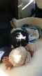 20201003_155013.jpg
