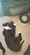 20201003_180244.jpg