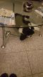 20201005_212844.jpg