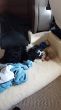 20201003_155631.jpg