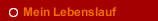 Mein Lebenslauf